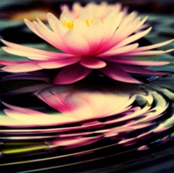 massages-embrun